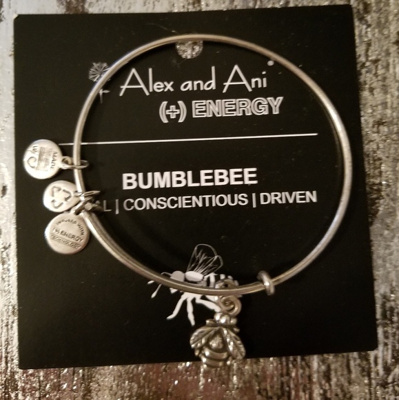 Alex and Ani Jewelry - Alex and Ani Bracelet